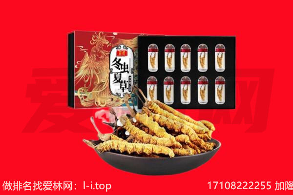 黄平县回收虫草.jpg